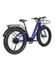 Fat Tire Bikes: FGR F1