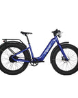 Fat Tire Bikes: FGR F1