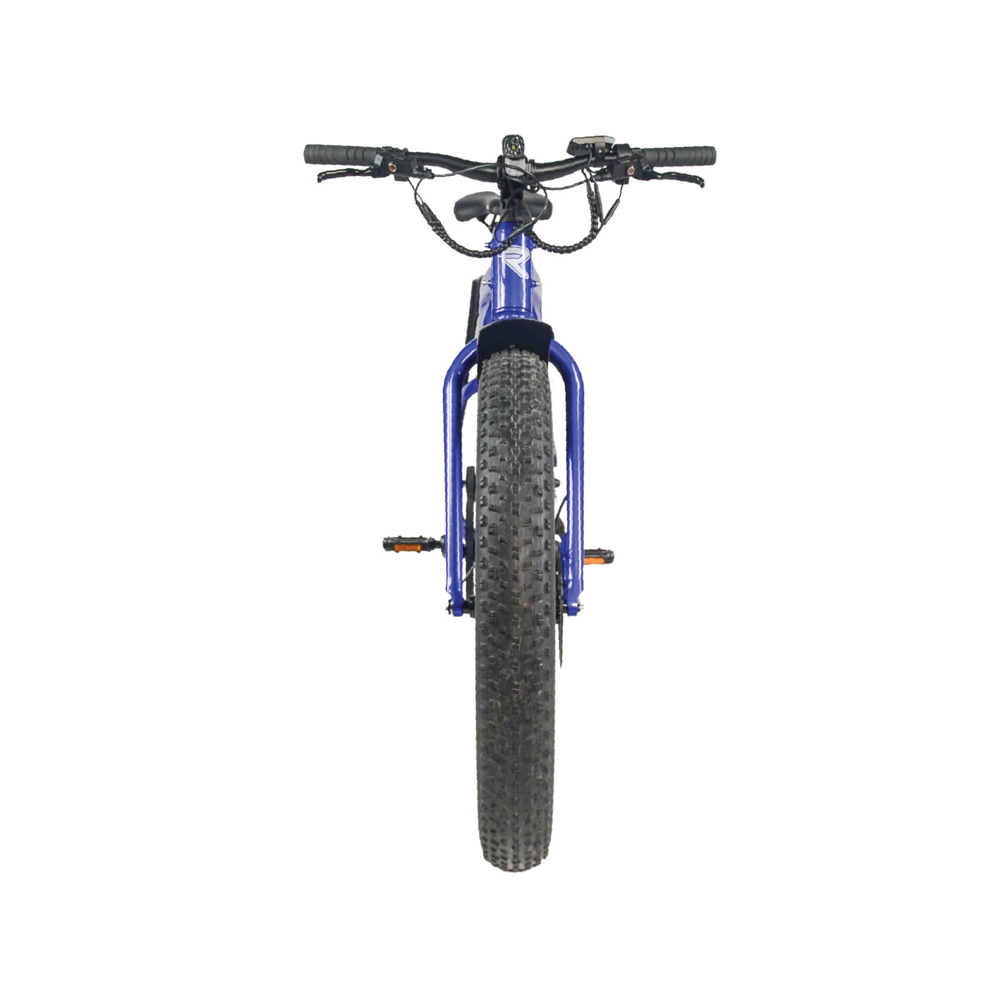Fat Tire Bikes: FGR F1