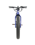 Fat Tire Bikes: FGR F1
