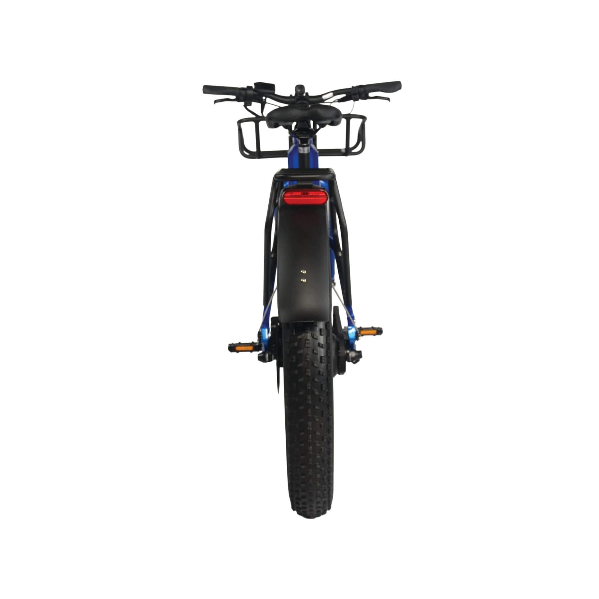Fat Tire Bikes: FGR F1