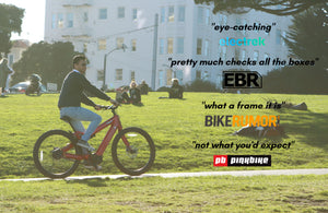 The RIDE: Radiant Carbon – eBliss Global, - Main Image