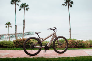 The RIDE Electric Bike: Limited Edition